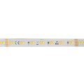 501090_Flexible LED SMD 2835 SCCT_MP_Vorderseite